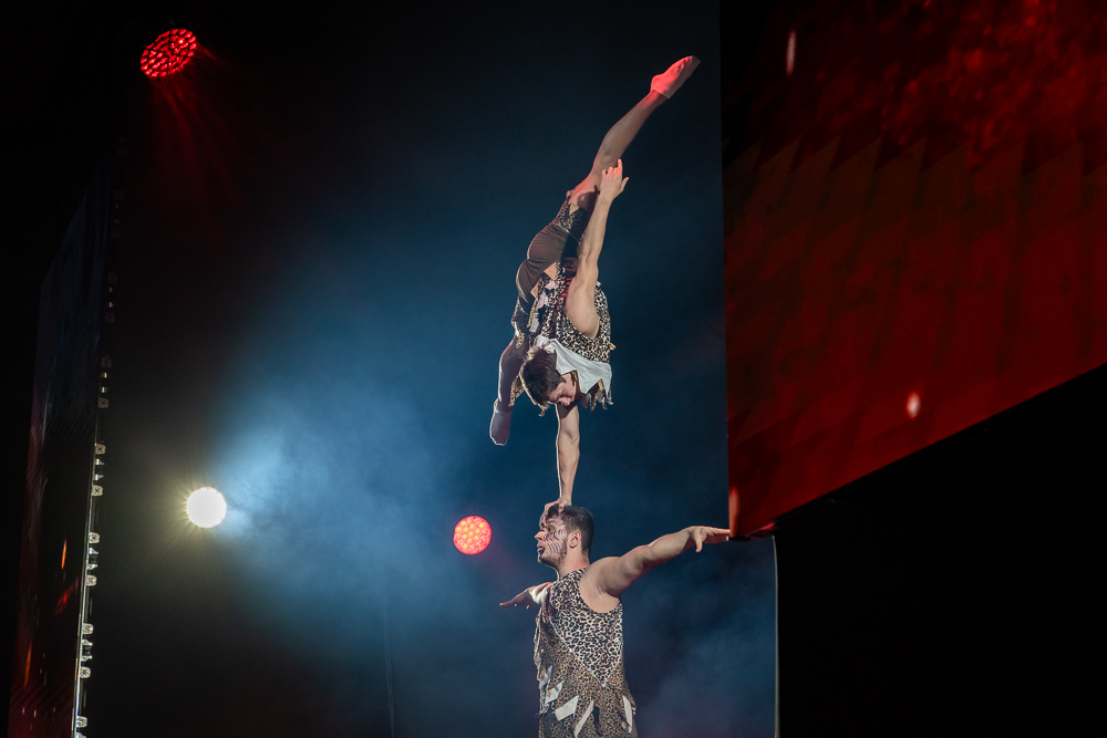 Ёлки главы Одинцовского округа