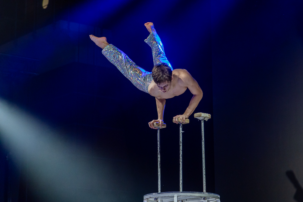 Ёлки главы Одинцовского округа