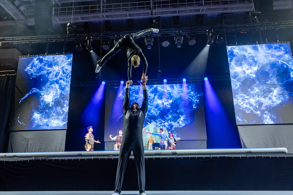 Ёлки главы Одинцовского округа