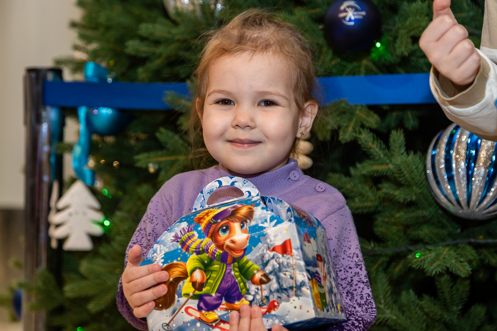 Ёлки главы Одинцовского округа